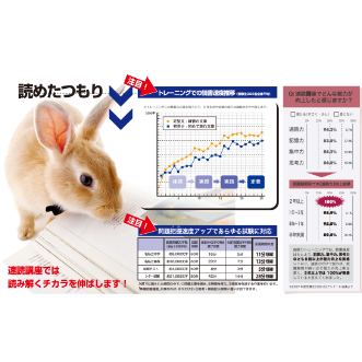 速読うさぎ+データ